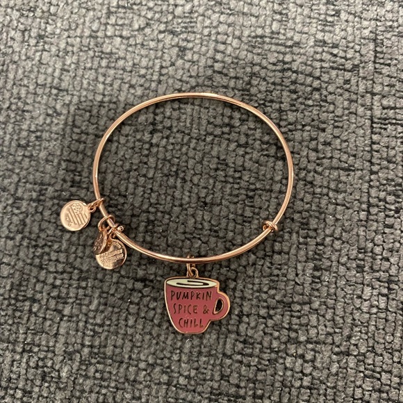 EUC Alex & Ani pumpkin spice and chill rose gold bracelet - Picture 1 of 2